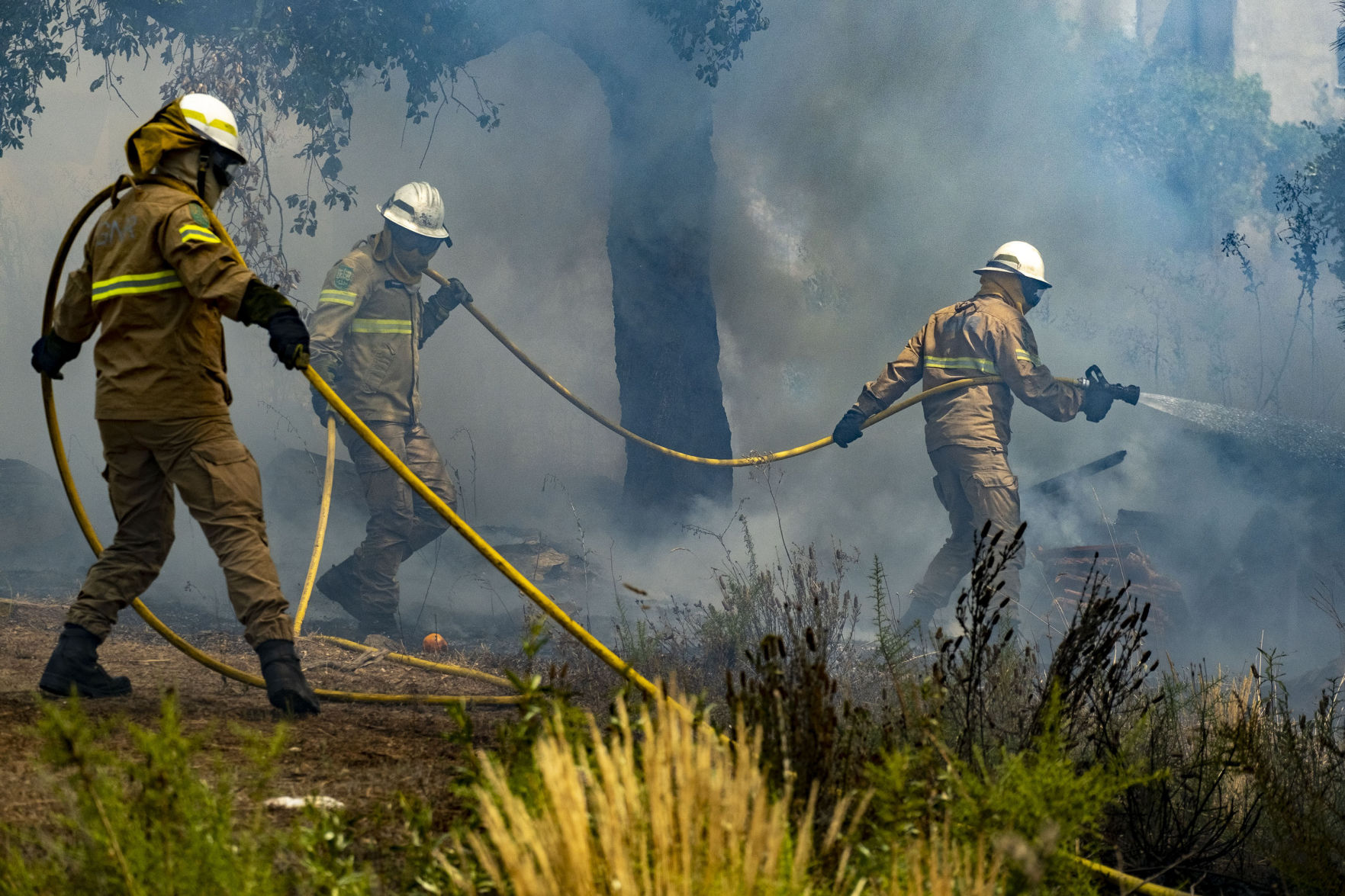 Portugal Wildfires